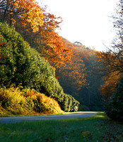 Colors of the Blue Ridge Parkway