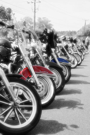 Harleys Lined Up