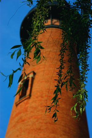 Currituck Lighthouse Through the Willows